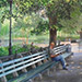 Battery Park City Bench